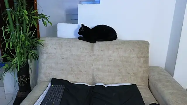 Lorenne Miller online show from April 2026 03:57:02 AM