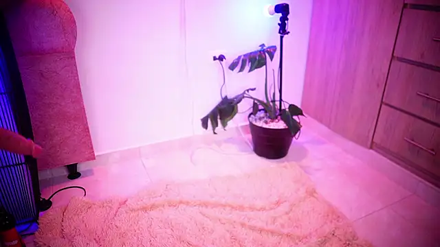 Mikubani18 online show from November 2025 03:43:01 AM