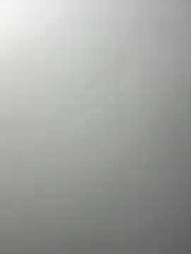 MayaMR online show from February 2025 06:38:02 AM