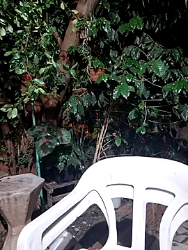 Sweet-diamondxxx online show from November 2025 02:15:02 AM