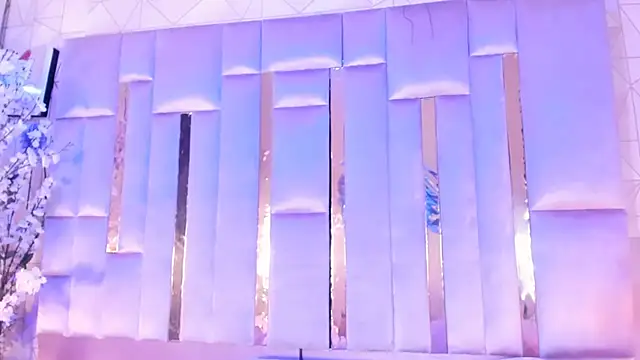 Snapshot of samarajhonson chatting on December 2025 09:53:01 PM samarajhonson online show from December 2025 09:53:01 PM