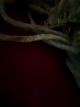 Snapshot of sammoura01 chatting on September 2025 12:00:02 PM sammoura01 online show from September 2025 12:00:02 PM