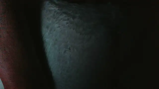 soHardfull online show from June 2026 02:34:01 AM