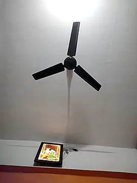 HandsomeHunky1 online show from November 2025 04:29:02 PM