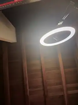 Valentino Xander online show from March 2026 01:36:02 AM