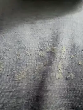 Kenny-kay online show from February 2025 04:22:01 AM