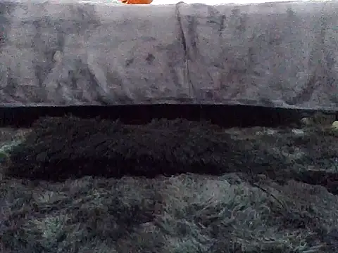 Snapshot of Gibbzmx chatting on September 2025 06:56:01 PM Gibbzmx online show from September 2025 06:56:01 PM