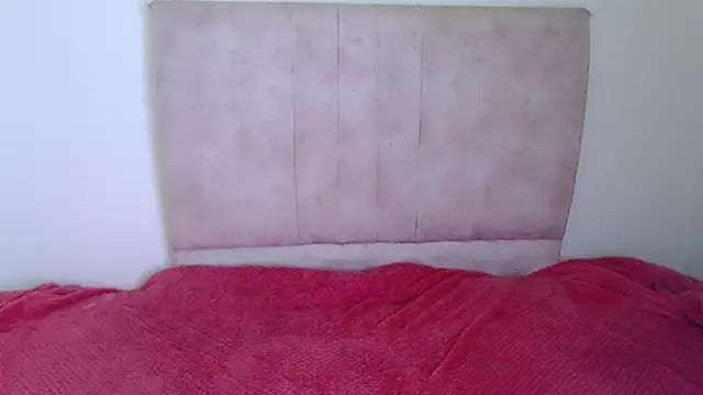 gatitaa777 online show from November 2025 12:22:01 AM