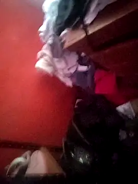 VL25DN26 online show from April 2026 10:38:02 PM