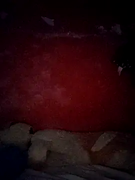 VL25DN26 online show from October 2025 09:29:01 AM