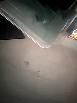 VL25DN26 online show from March 2026 02:09:01 PM