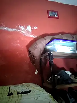 VL25DN26 online show from December 2025 09:44:01 AM