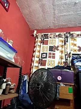 VL25DN26 online show from February 2026 08:57:02 AM