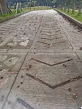 Snapshot of Cuervo_maniaco chatting on October 2025 04:19:02 PM Cuervo maniaco online show from October 2025 04:19:02 PM