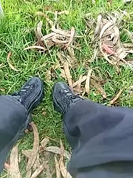 Cuervo maniaco online show from November 2025 05:16:02 PM