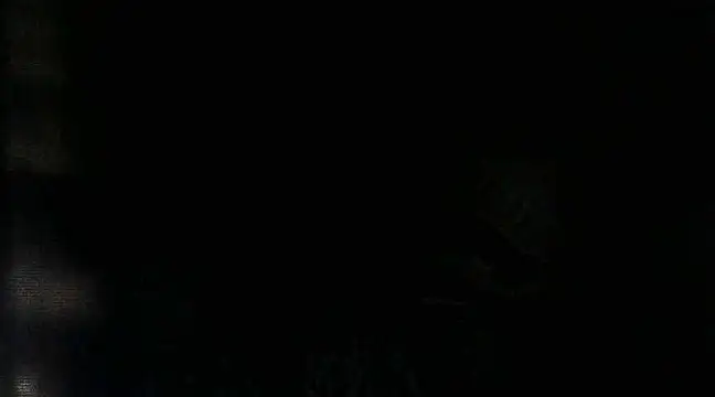 Snapshot of RenziTatte chatting on March 2025 02:27:01 AM RenziTatte online show from March 2025 02:27:01 AM