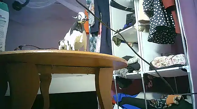 Snapshot of Queenxqu chatting on March 2025 11:38:02 AM Queenxqu online show from March 2025 11:38:02 AM