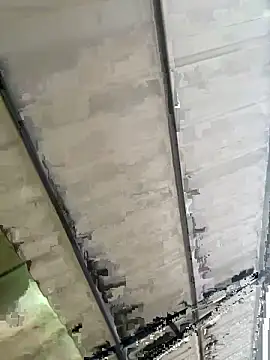 Snapshot of eva_y_marcelo chatting on November 2025 11:14:02 AM eva y marcelo online show from November 2025 11:14:02 AM