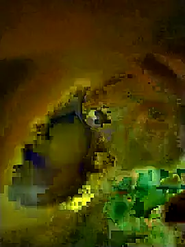 Rasdick online show from March 2026 02:19:02 AM