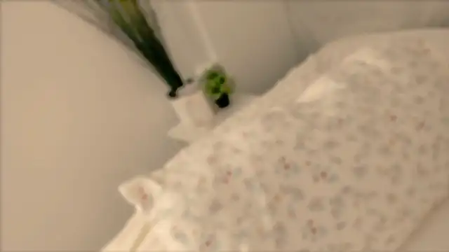  cherry bloss  online show from November 2025 11:05:01 PM