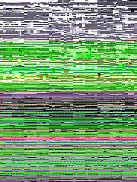 Savage baby online show from March 2025 09:32:02 AM