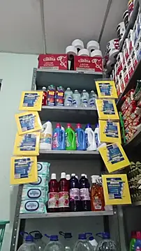 Magica lorena online show from April 2026 01:06:02 PM