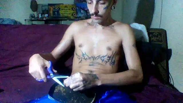 sellvageria online show from February 2026 11:56:01 AM