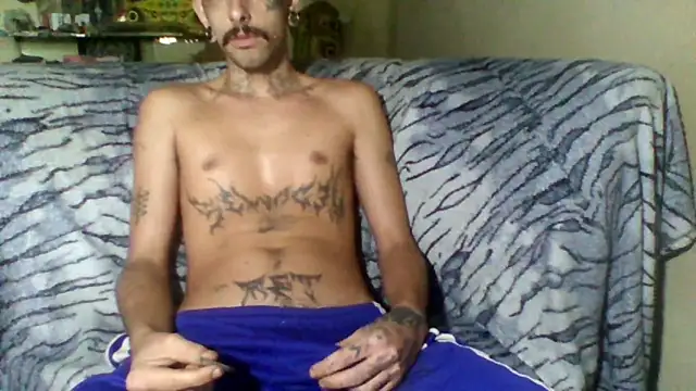 sellvageria online show from February 2026 01:09:01 PM