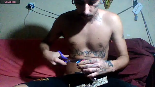 sellvageria online show from March 2026 03:17:02 AM