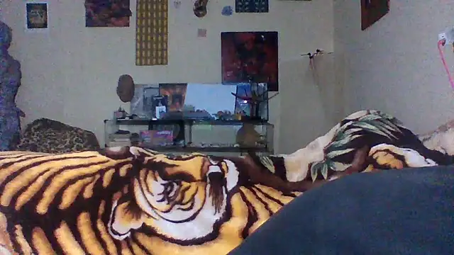 sellvageria online show from October 2025 11:44:01 AM