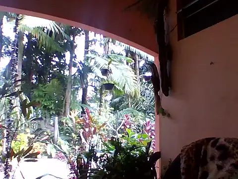 sellvageria online show from October 2025 12:39:02 PM