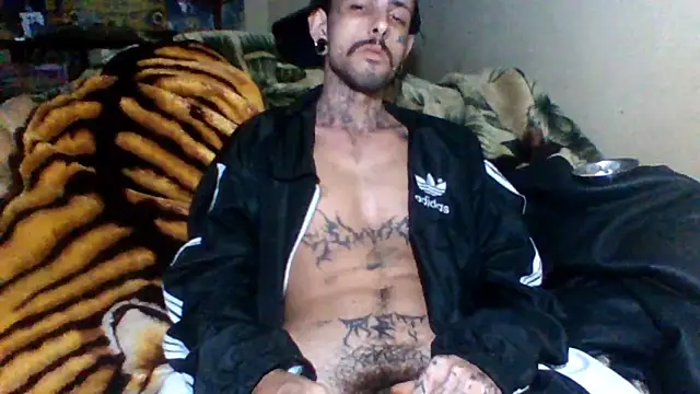 sellvageria online show from October 2025 12:45:01 AM