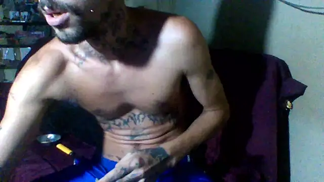 sellvageria online show from January 2026 12:03:02 AM