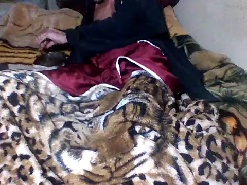 sellvageria online show from September 2025 12:05:01 PM