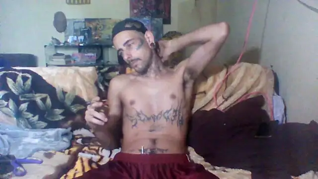 sellvageria online show from November 2025 01:34:01 PM