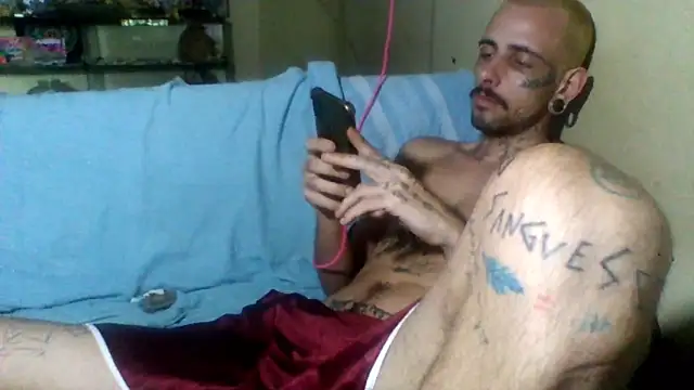 sellvageria online show from November 2025 06:45:01 PM