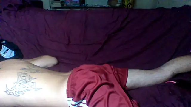 sellvageria online show from December 2025 08:04:02 PM