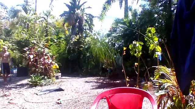 sellvageria online show from December 2025 05:08:01 PM