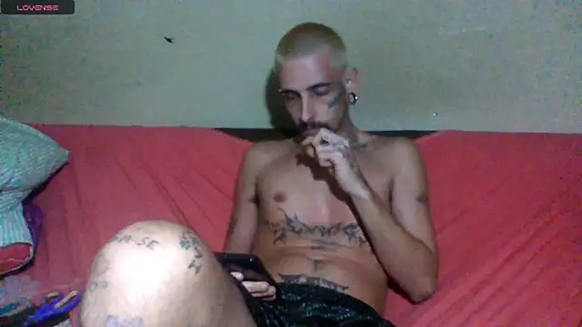 sellvageria online show from April 2026 01:29:02 AM