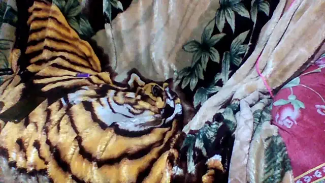 sellvageria online show from October 2025 02:57:01 AM