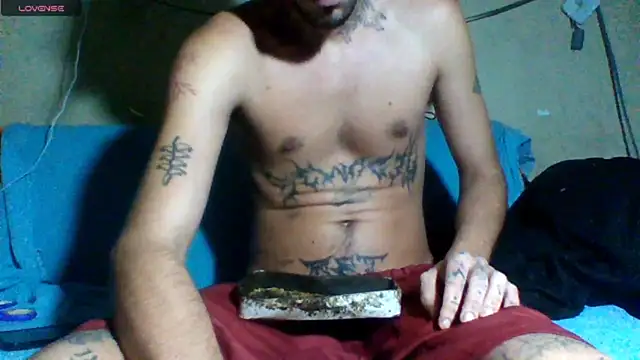 sellvageria online show from March 2026 02:28:02 AM