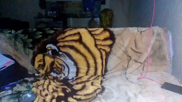 sellvageria online show from November 2025 12:44:01 AM