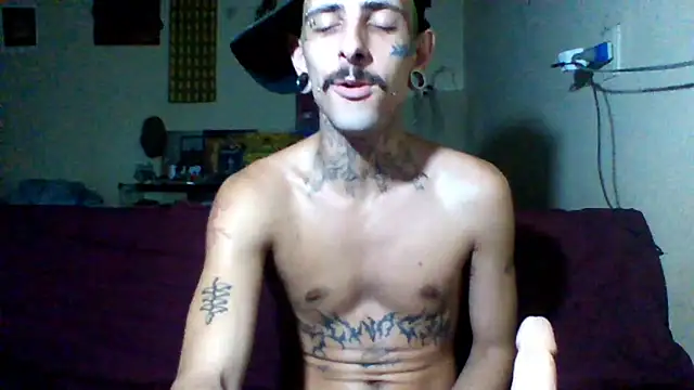 sellvageria online show from February 2026 07:27:01 PM