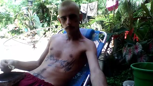 sellvageria online show from November 2025 01:32:02 PM