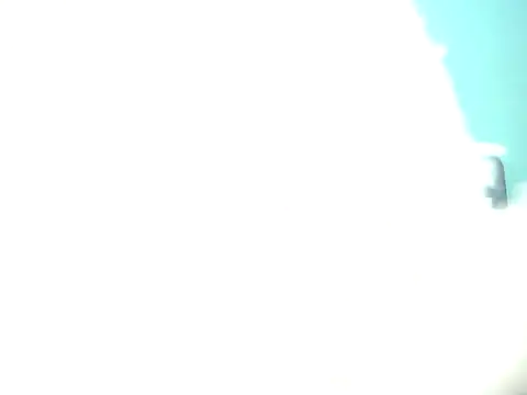 prettysonnie online show from February 2026 11:55:02 PM