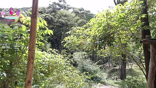 andreu mature online show from November 2025 03:12:02 PM