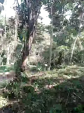 andreu mature online show from February 2026 08:31:02 PM