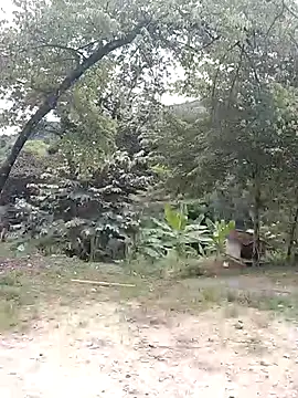 andreu mature online show from February 2026 04:20:02 PM