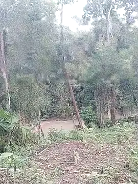 andreu mature online show from March 2026 11:02:01 PM