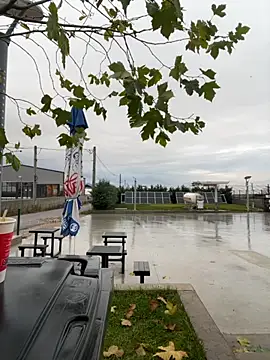 baramadalin online show from December 2025 05:52:01 AM